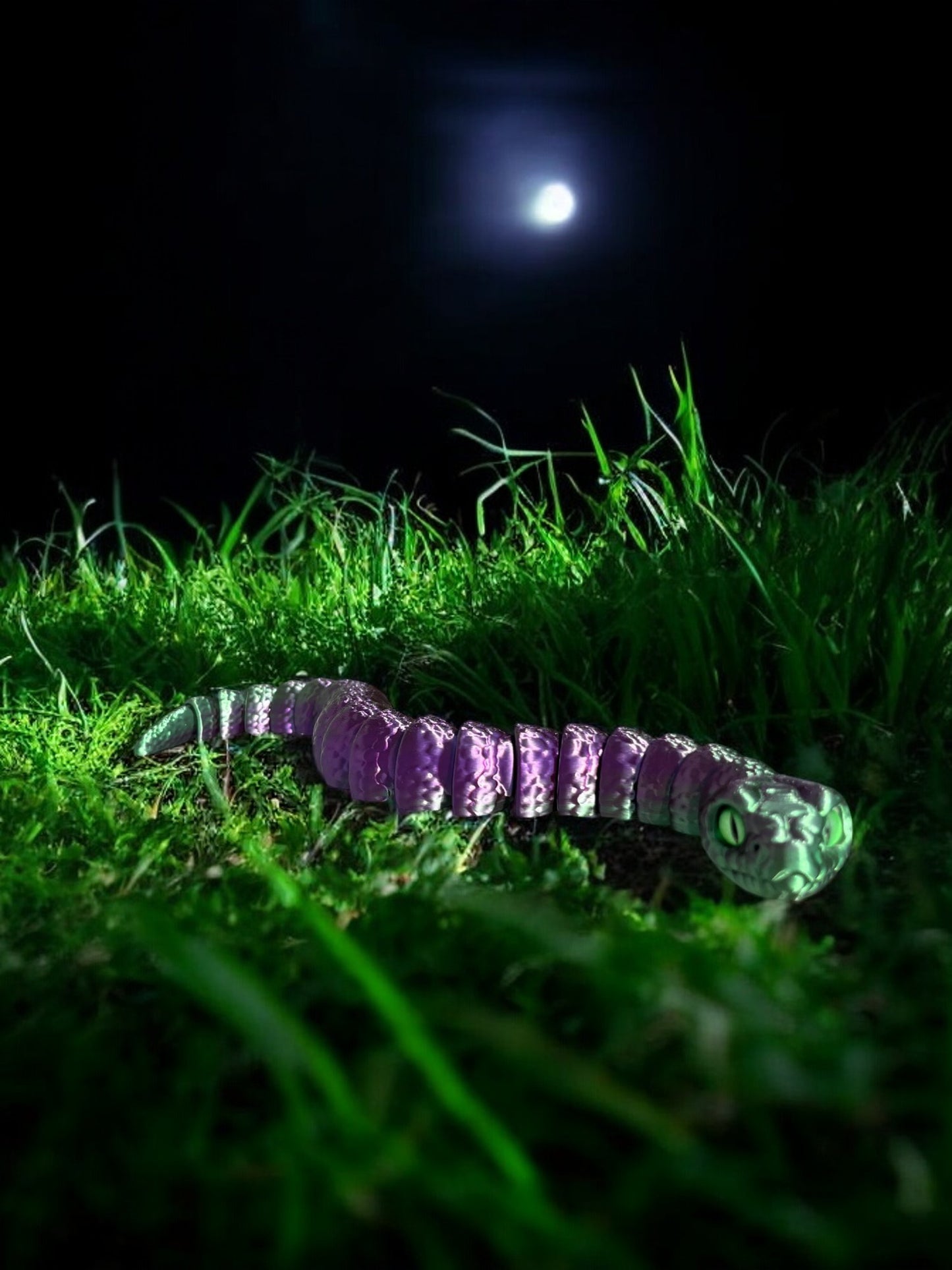 Bébé serpent