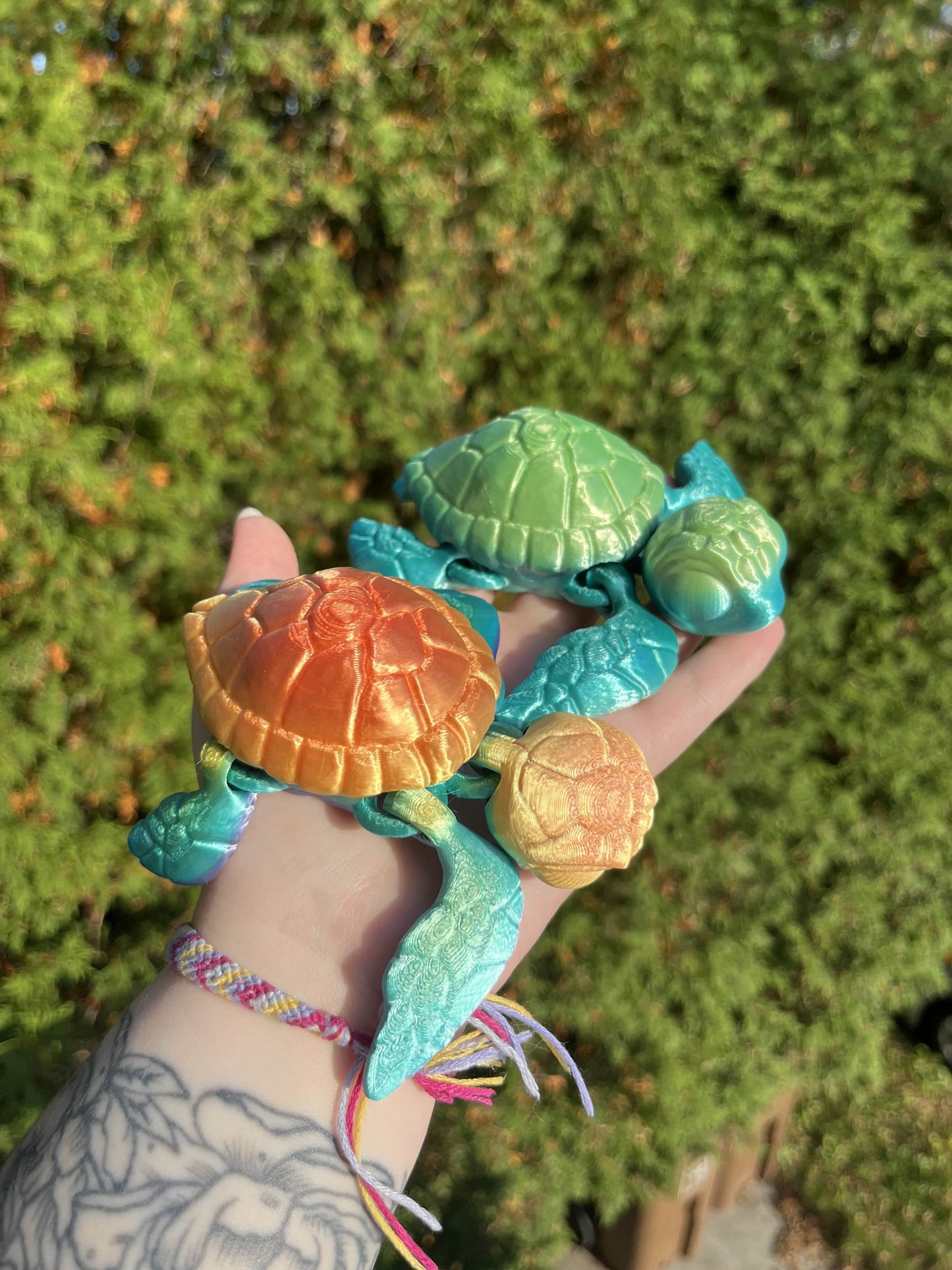 Tortue de mer