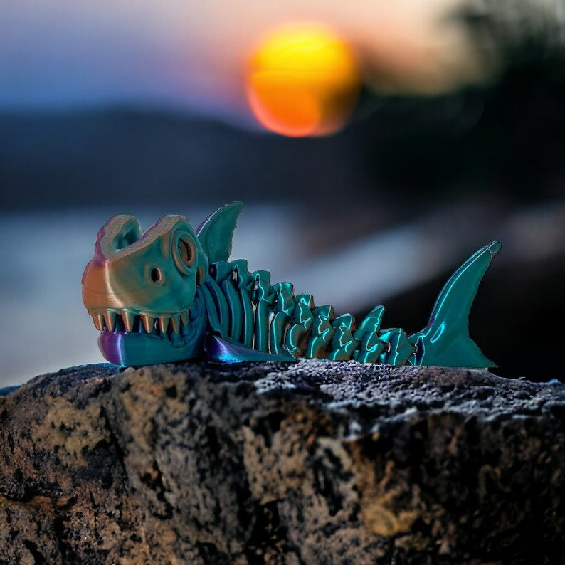 Requin squelette