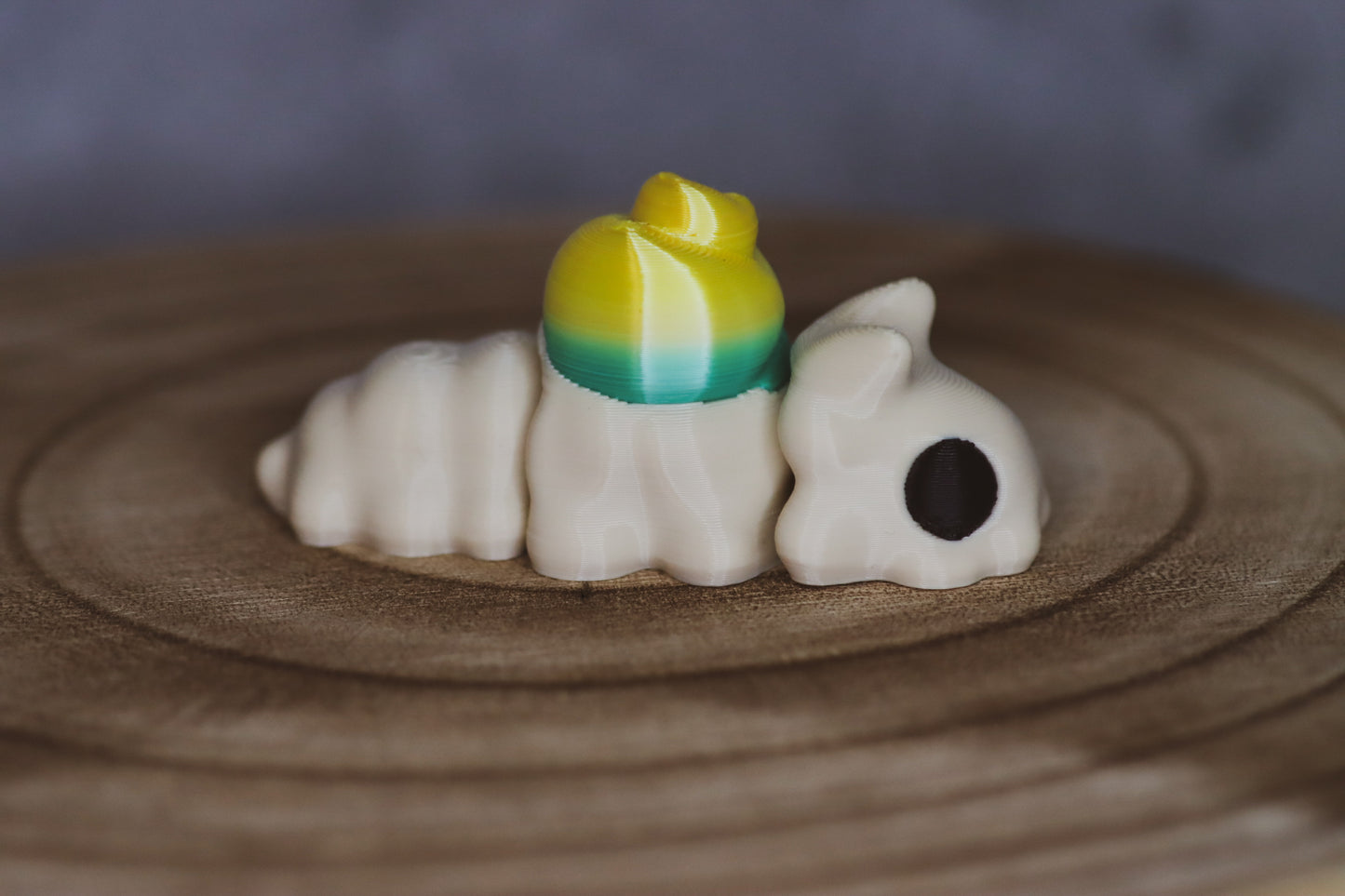 Petit escargot articulé