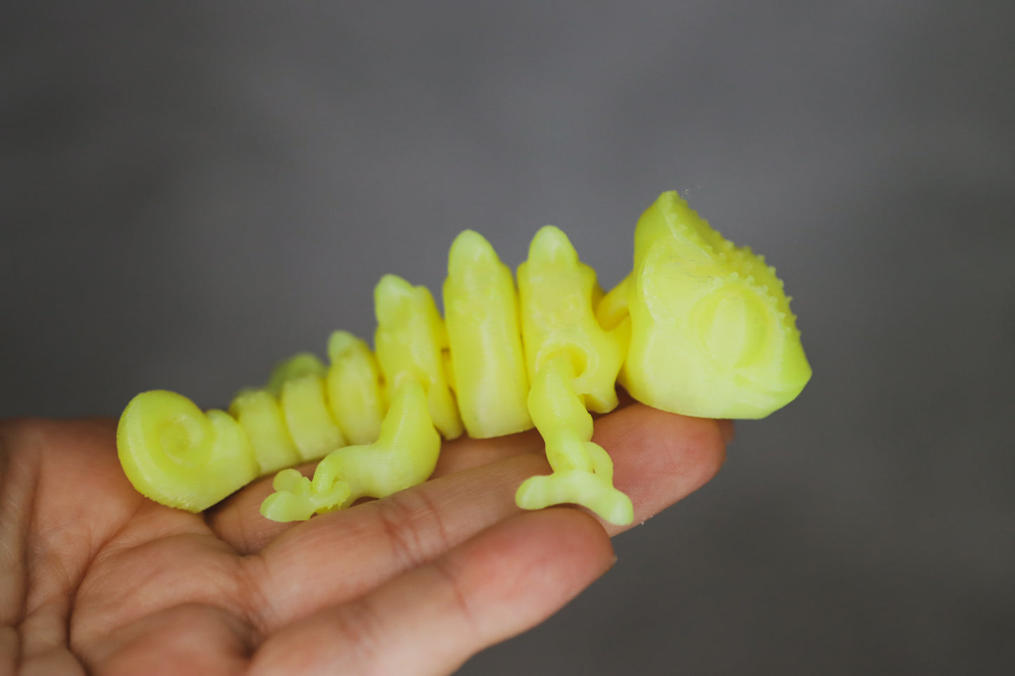 Petit caméléon sensoriel