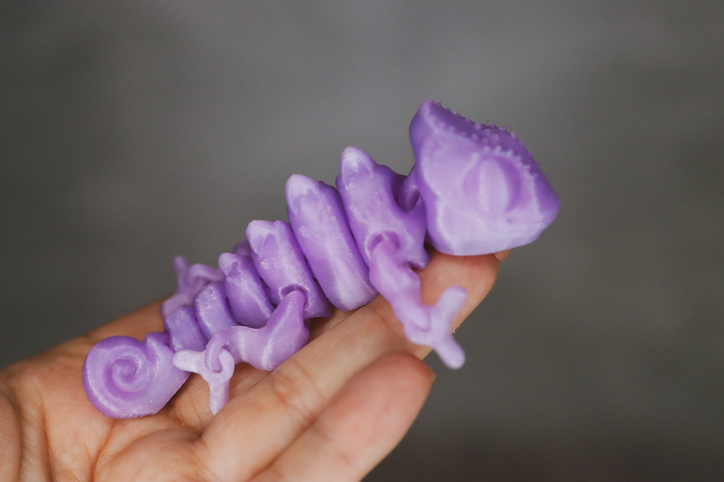 Petit caméléon sensoriel