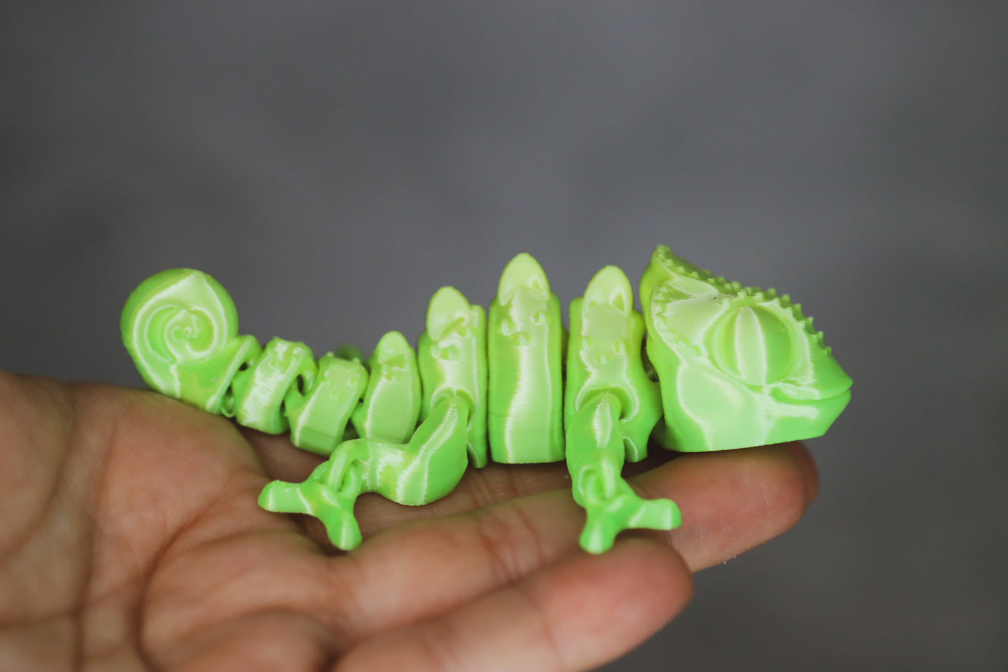 Petit caméléon sensoriel