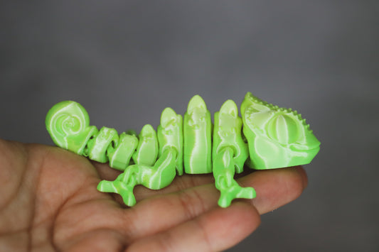 Petit caméléon sensoriel