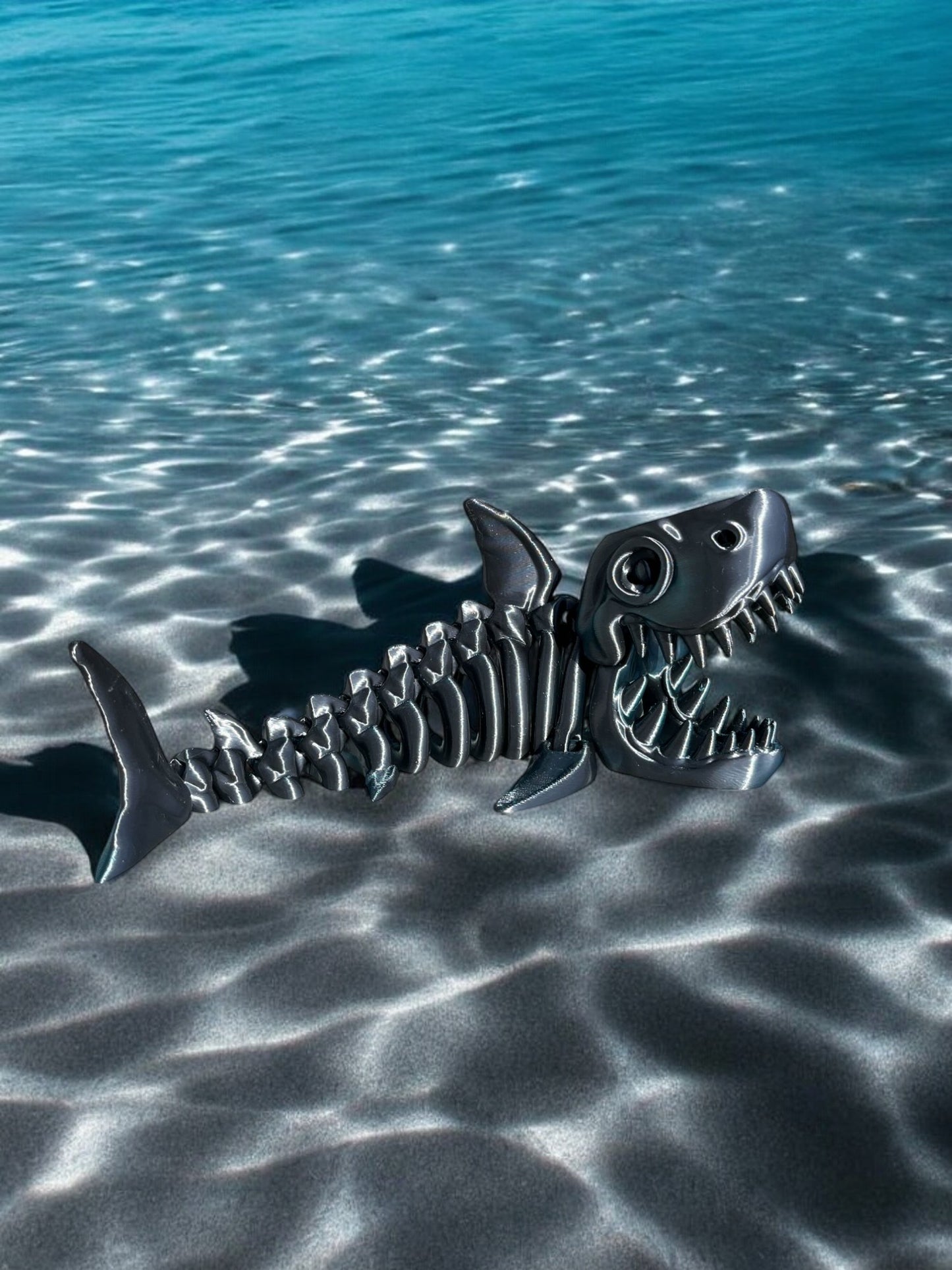 Requin squelette