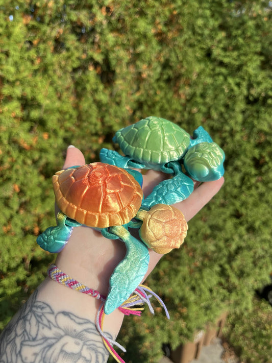 Tortue de mer